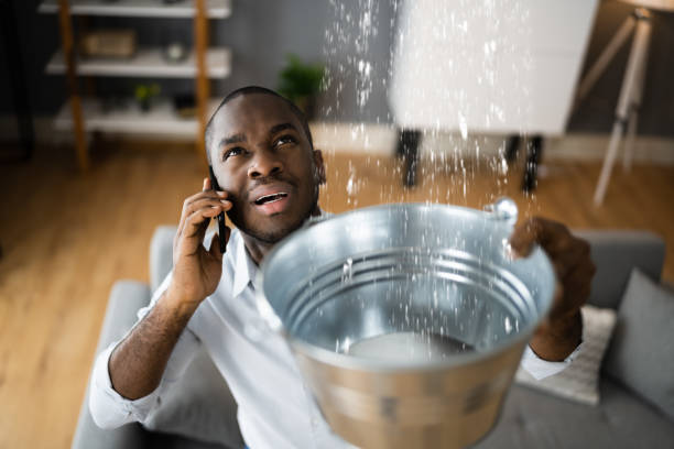 Best Water damage restoration services  in Douglas, GA