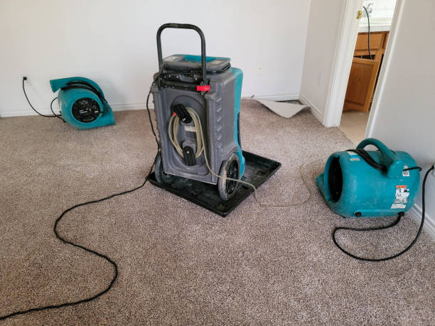 Best Local water damage restoration  in Douglas, GA