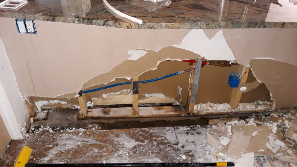 Best Ceiling water damage repair  in Douglas, GA