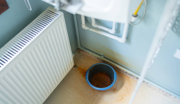 Best Water damage mitigation services  in Douglas, GA