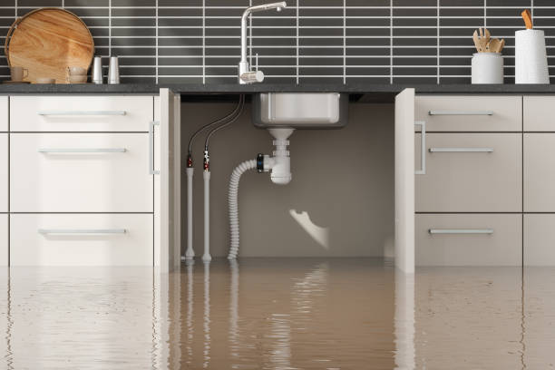 Best Water damage contractors near me  in Douglas, GA