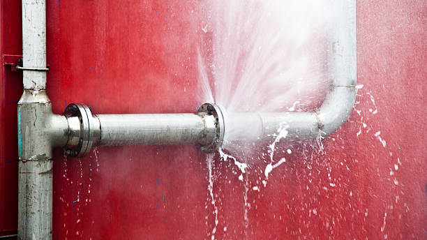 Best Professional water damage repair  in Douglas, GA